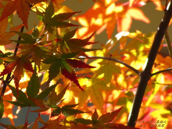 2218���������191123