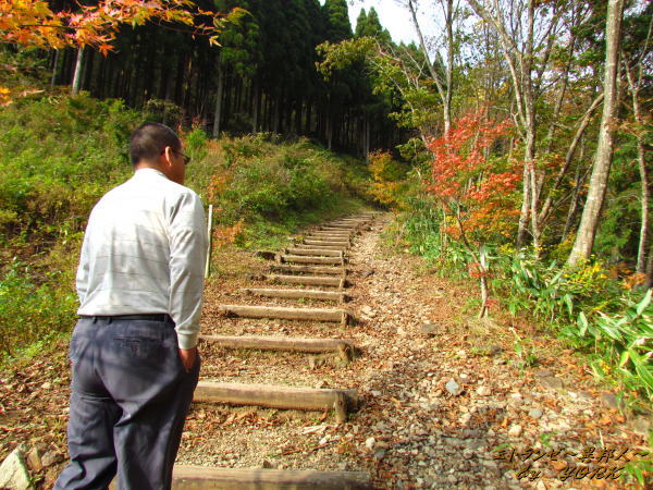 5422����ؤ�ͷ��ƻ141026