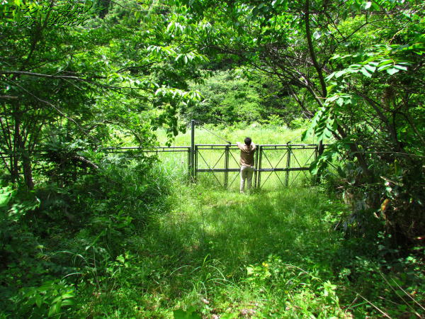 9083��ë����ζ᤯����150620