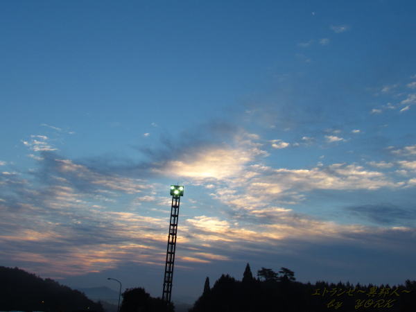 0329�ǻ������ӥ����ꥢ131102