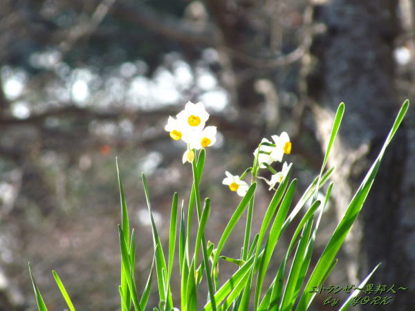 7127����150124