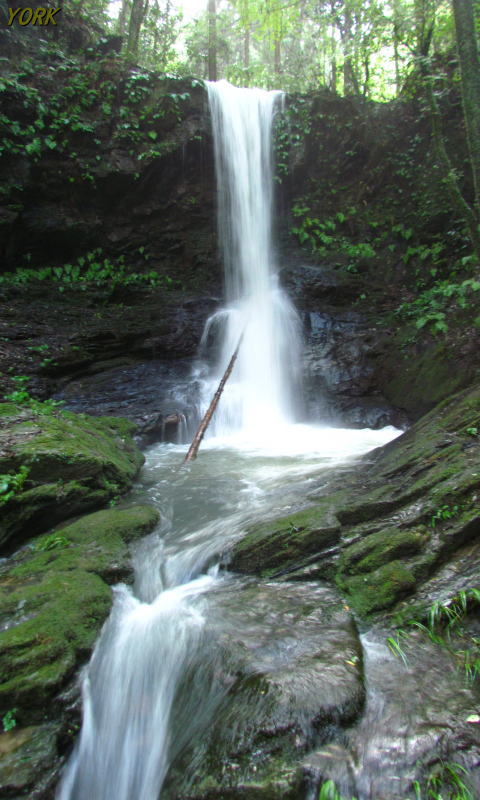 �����ѡ�3467���������480��800