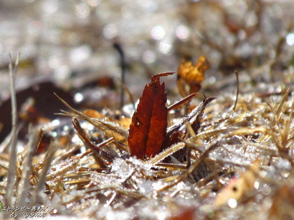 0973���������131229