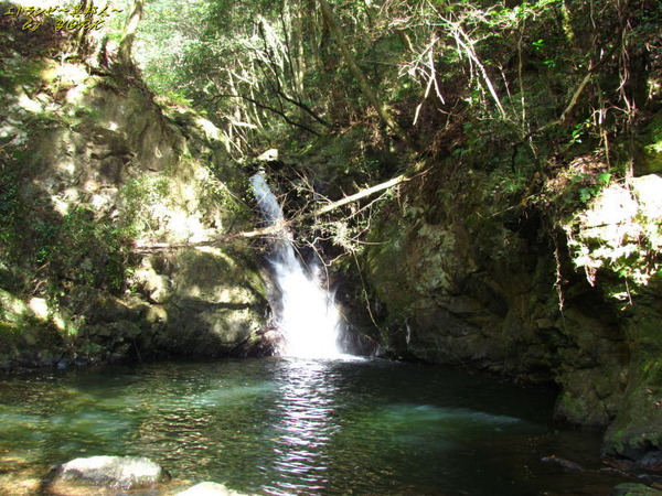 0332ƣ��������161112