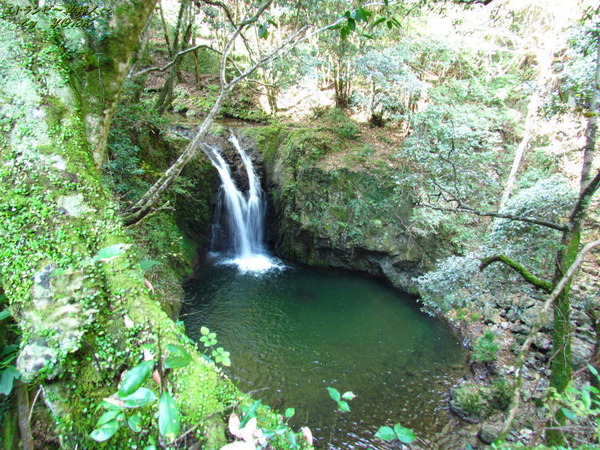 0345ƣ�������161112