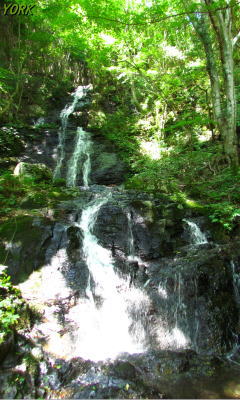 �����ѡ�2350�������240��400