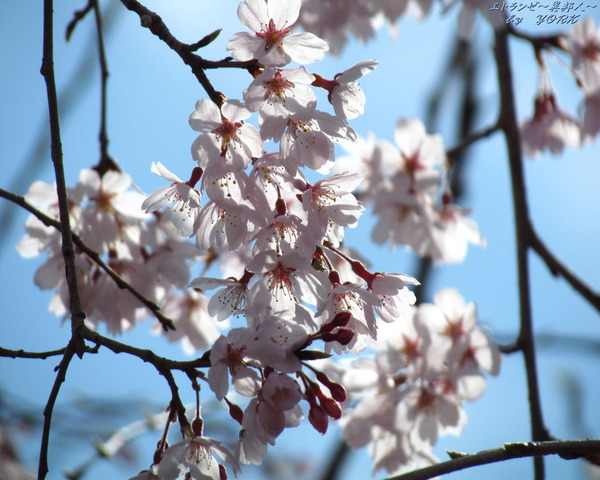 �ɻ桡0626�Ķ��˻޿���1280��1024