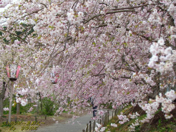 0909������140413