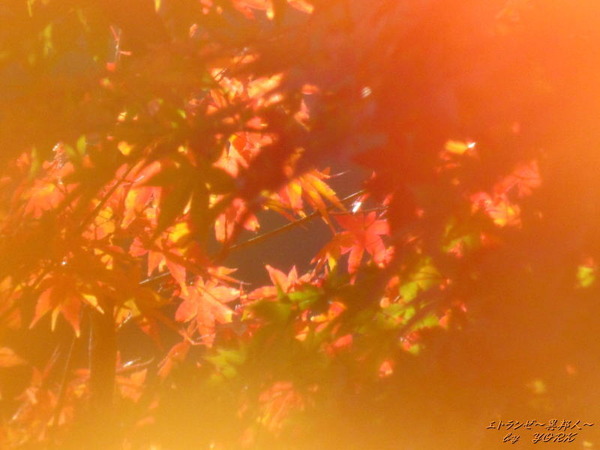 0666����Ʃ����161116