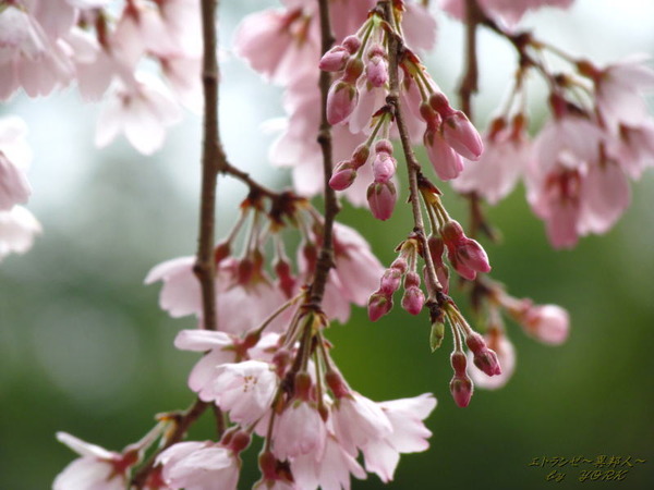 2507�⸻���λ޿���170326