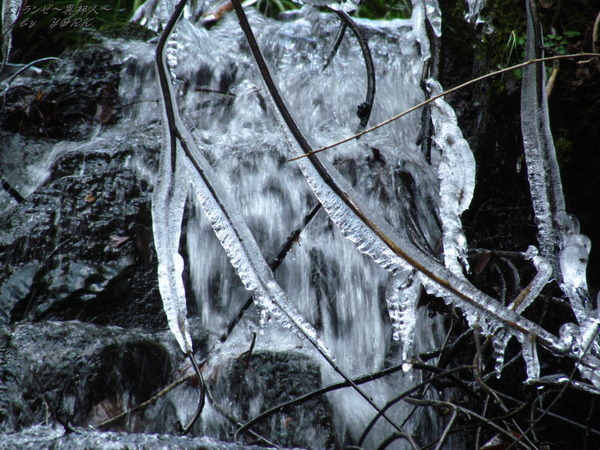 2108ɹ�ηݽѺ���170212