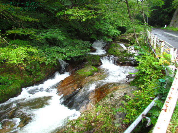 3593�ϸ�ë����140906