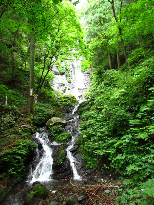 9118���Ӥ��������©��150620