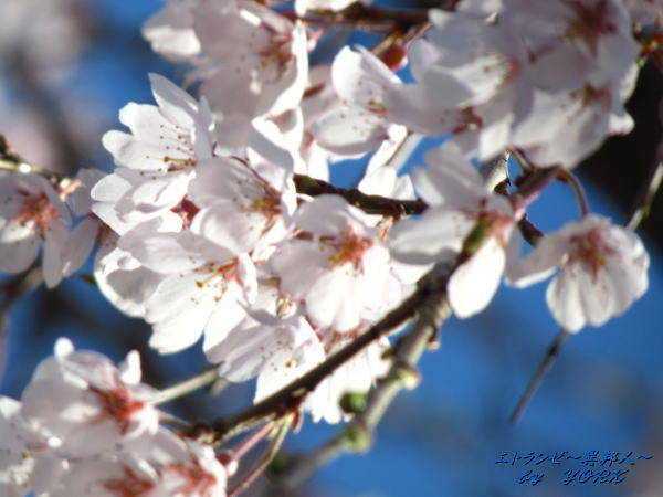 0716�޿������եȥե�������140330