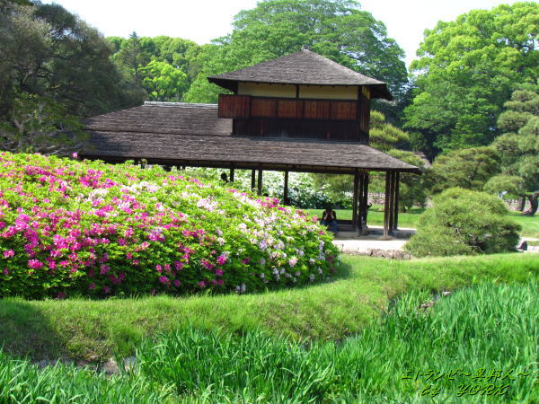 2618��ڱ�ήŹ�ʤ�夦�Ƥ��120506