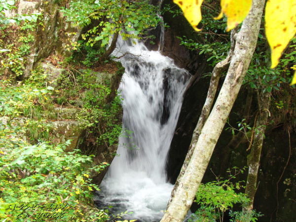 5412����ë����141026