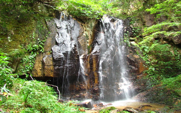 �ɻ桡�ȥ��������1280��800