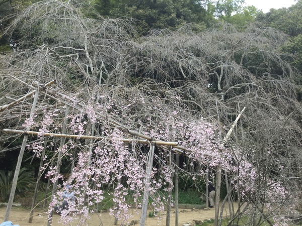 DDEE94D1-D92C-41A8-B839-E60AFBE3E473