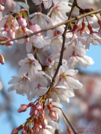 5801�޿���180325