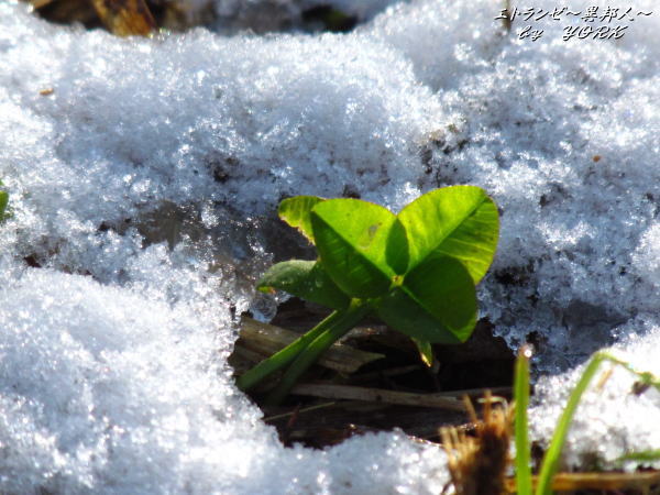 1258�㤫��β�᤭120102