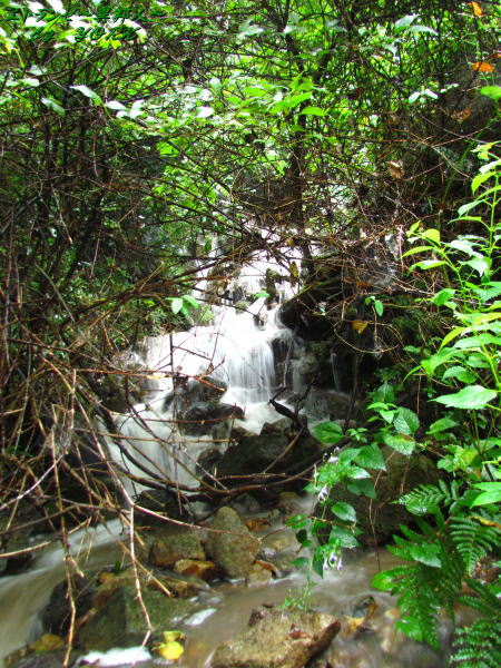 3609����ˤǤ���ߥ��졡������������140906