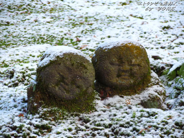 1143���ź��������¢111225