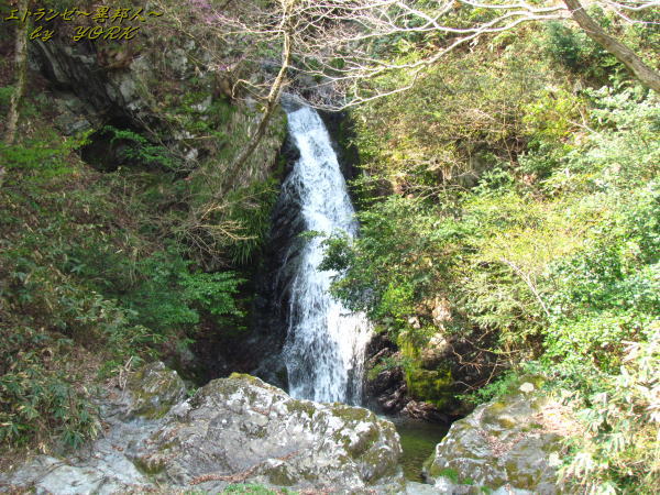 1011��ë��ư��140426