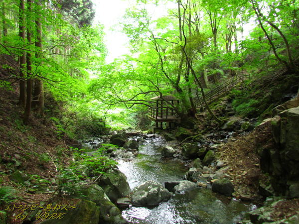 3726��ʥ������140915