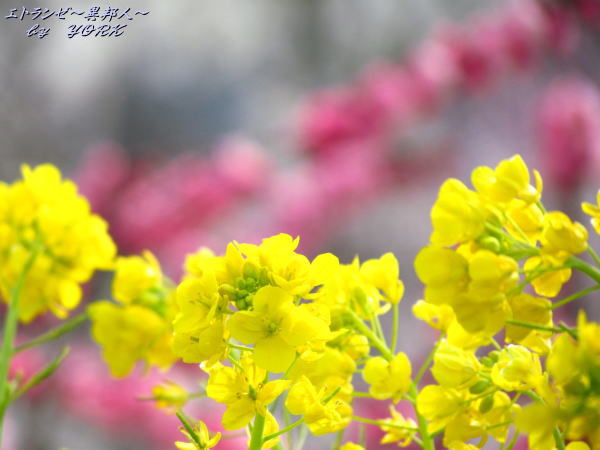 1766���߼����κڤβ�120325