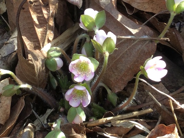 A0F96856-A099-4248-992A-6124E41F0A25