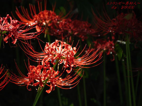 4563�ؼ��120923