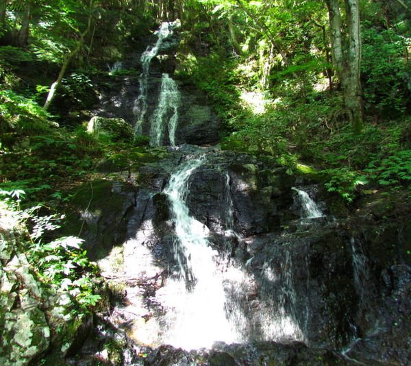 ���ޥ��ѡ�2353�������960��854