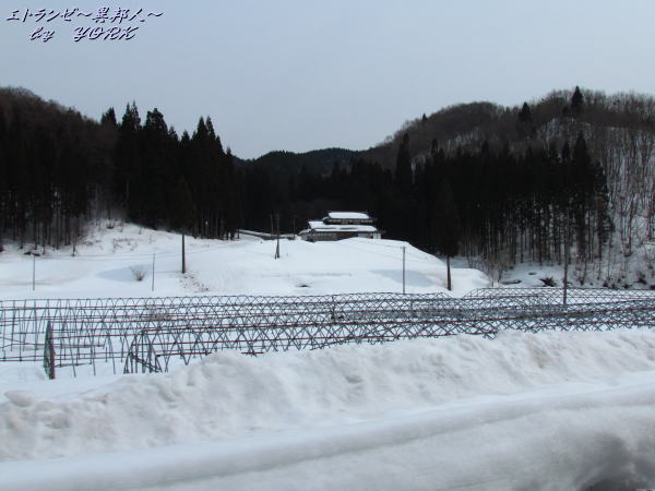 2464����ξ�ظ�170320