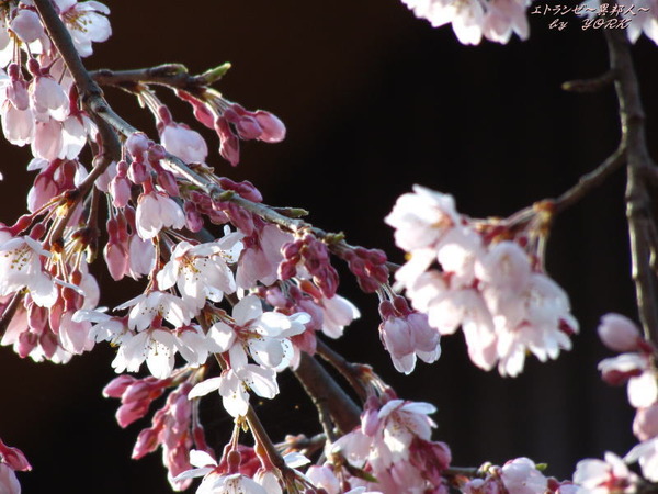 5792�޿���180325