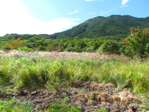 4662�Ż���ȴ����ƻ140920