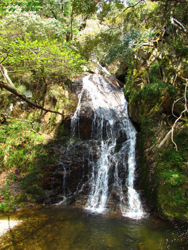 0986�Ų���ư�졢�����(�����140426