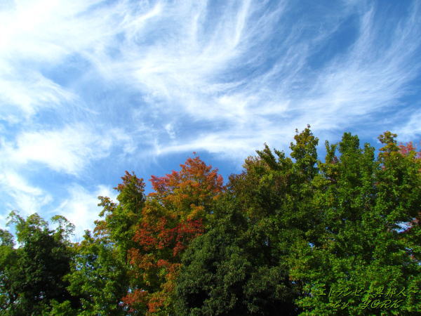 0455����ǡ������111023