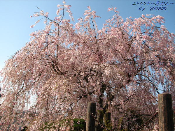 0379�Ż��޿���110420