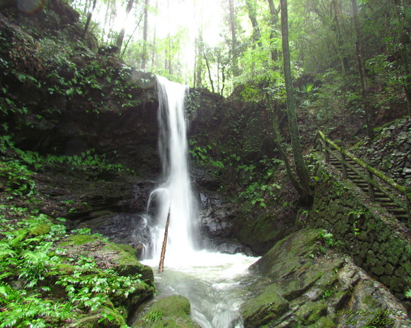 �ɻ桡3490���������1280��1024