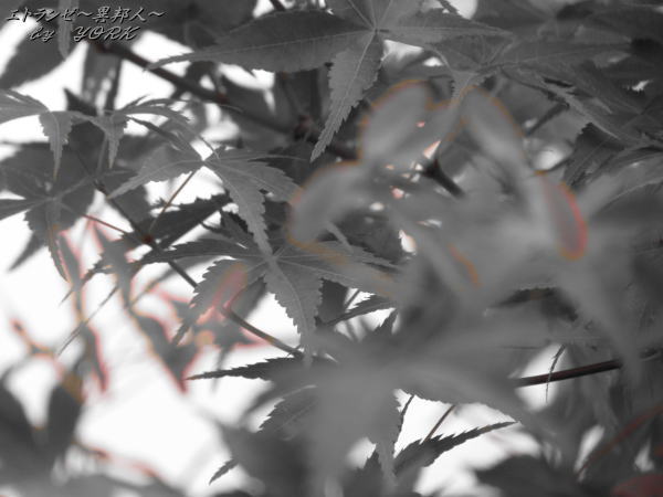 3132��ߥ����120526