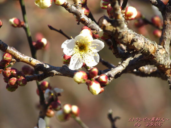 1604��餭������120219