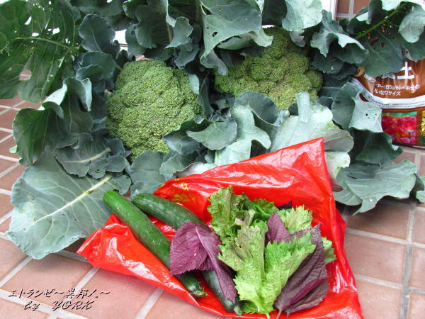 3241�����μ���120610