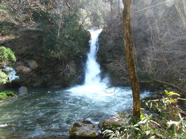 3183������ư������170415