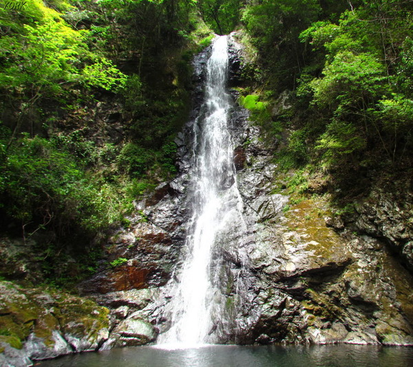 ���ޥ��ѡ�7521εƬ����960��854