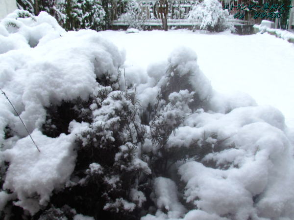 1154������140208