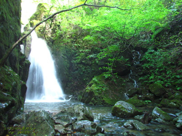 8171������ư�������160924