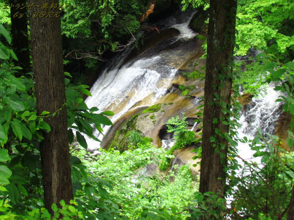 1811�󸮲�������140622