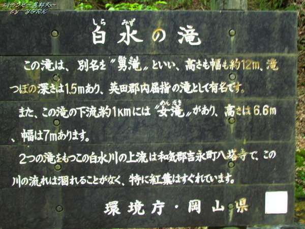 8638�����졡������150517