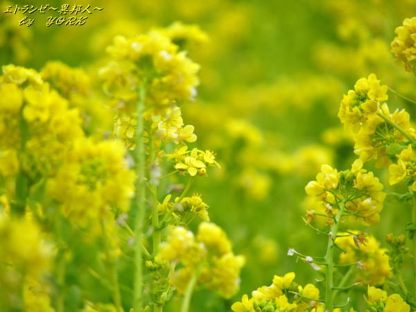 7469�ڤβ�150222