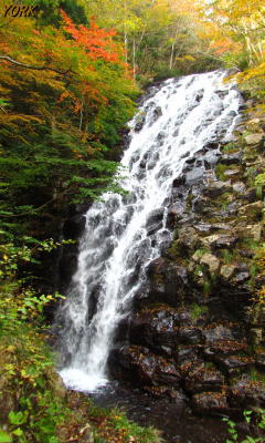 �����ѡ�5439��������240��400